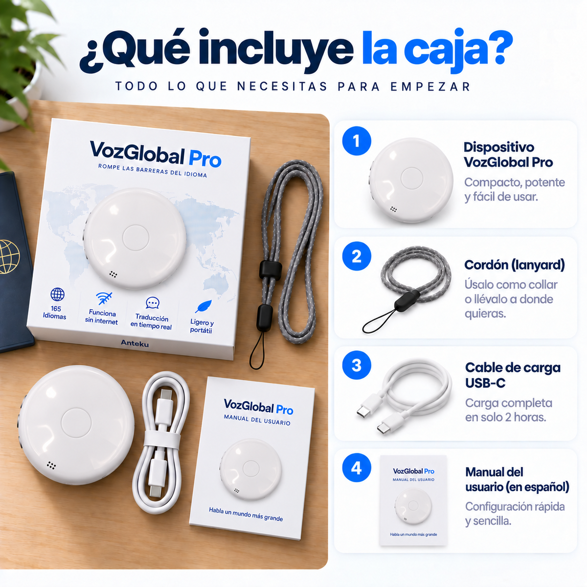VozGlobal Pro